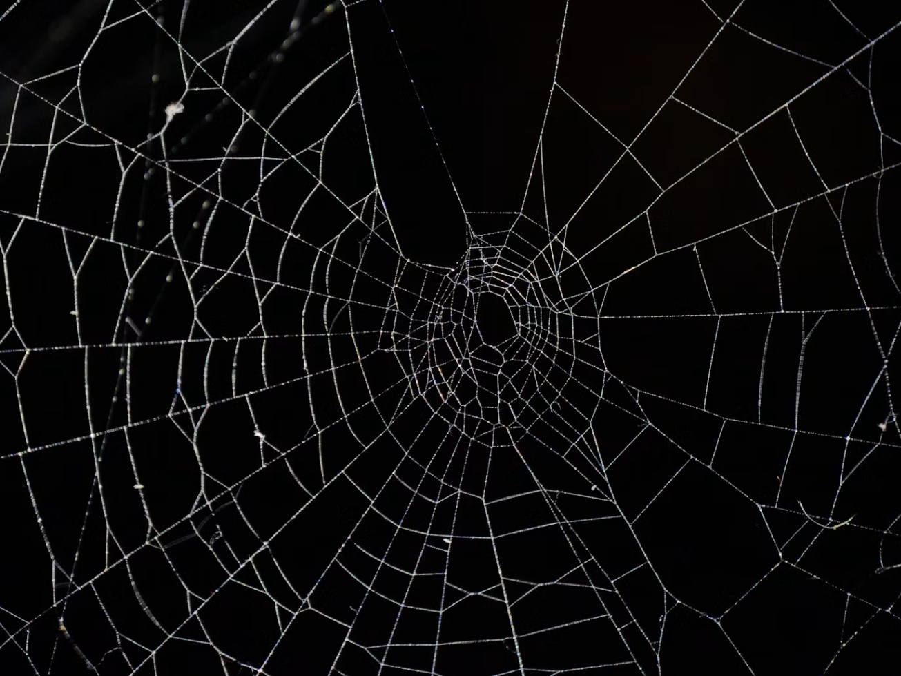 Nicolas Cage Rescues Marvel: A Deep Dive Into the Gritty Brilliance of Spider-Noir